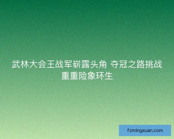武林大会王战军崭露头角 夺冠之路挑战重重险象环生