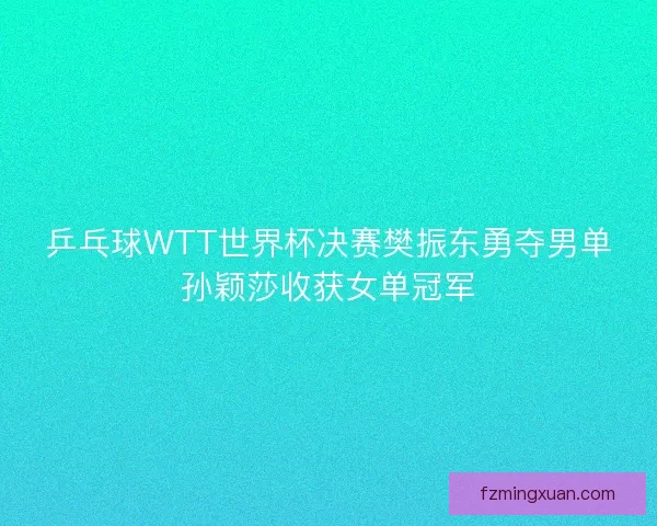 乒乓球WTT世界杯决赛樊振东勇夺男单孙颖莎收获女单冠军